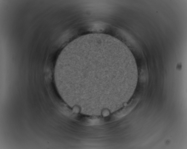 X0000101110370200807171942