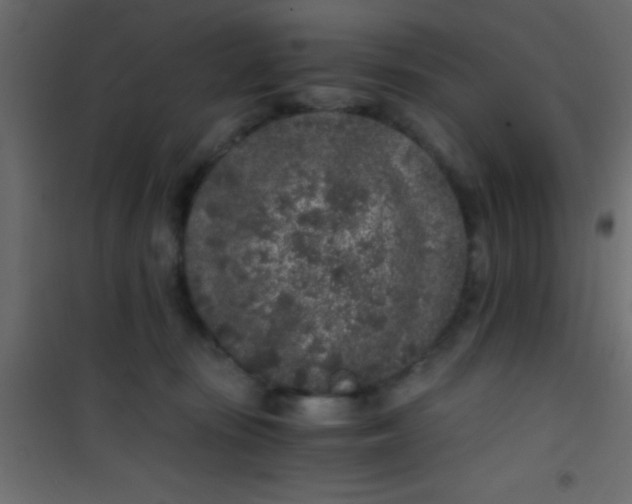 X0000101110371200807171942