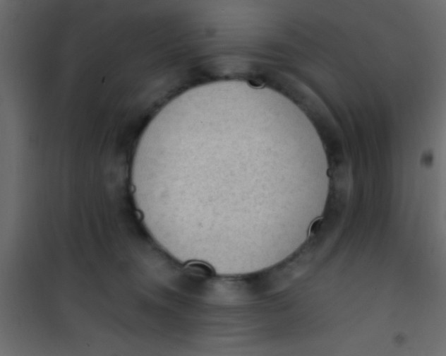 X0000101110372200807171942