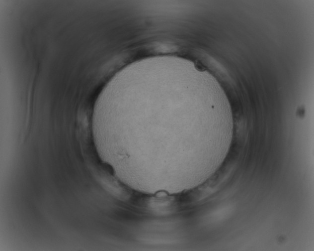 X0000101110373200807171942