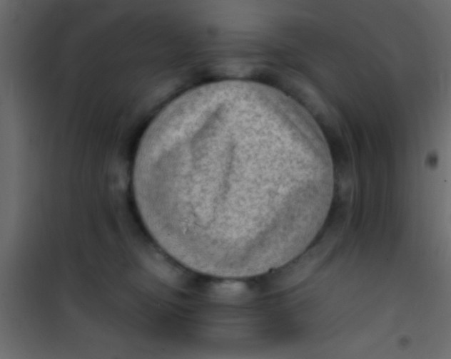 X0000101110374200807171942