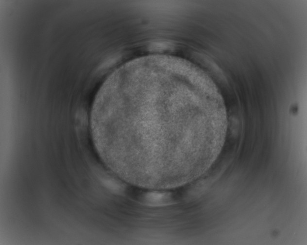 X0000101110375200807171942