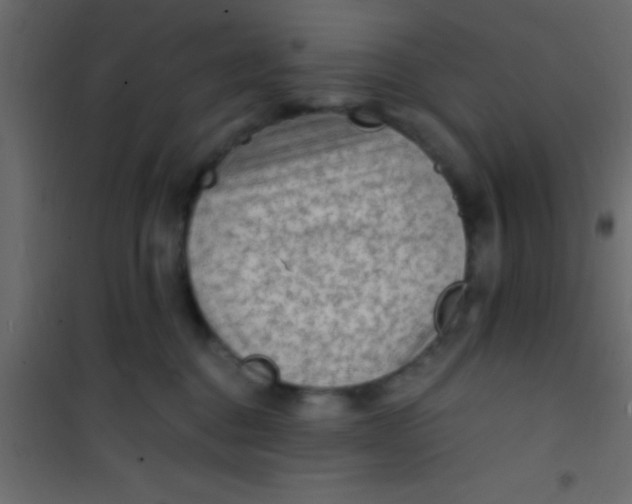 X0000101110376200807171942