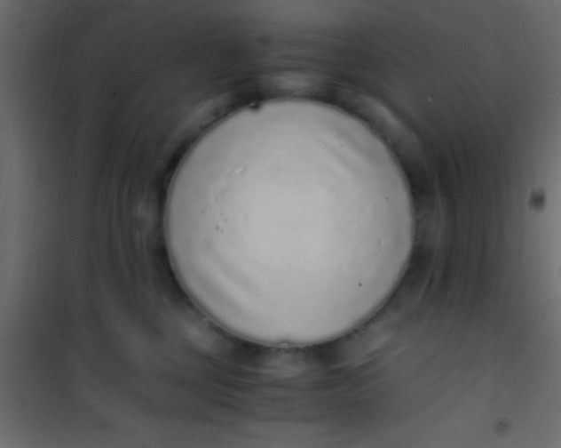 X0000101110377200807171942