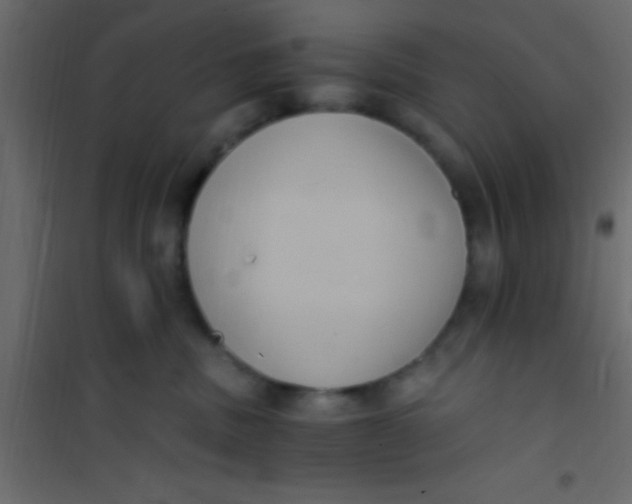 X0000101110379200807171942