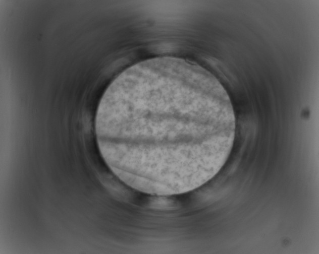 X0000101110380200807171942