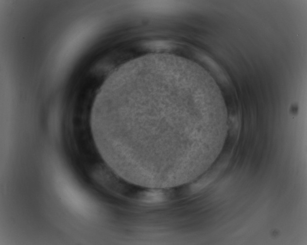 X0000101110381200807171942