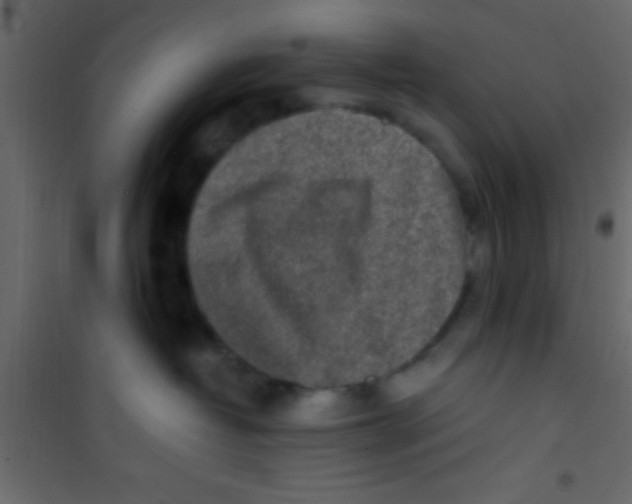 X0000101110382200807171942