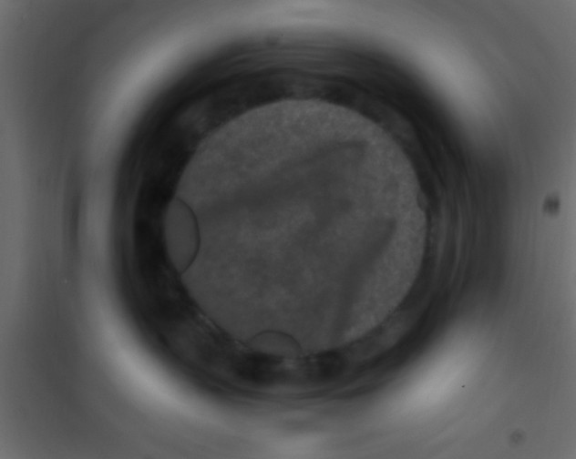 X0000101110383200807171942