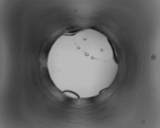 X0000101110384200807171942