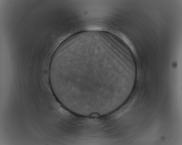 X0000101110385200807171941