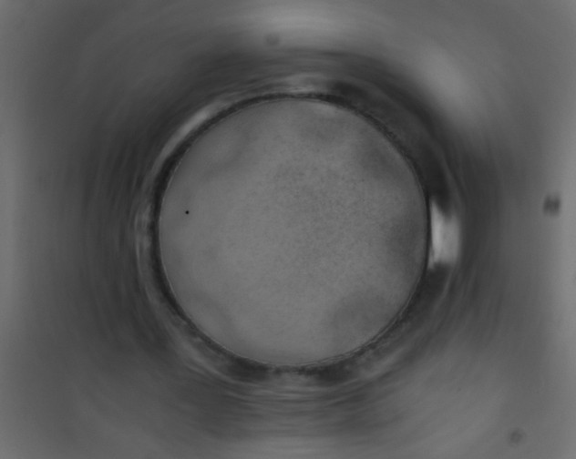 X0000101110387200807171941