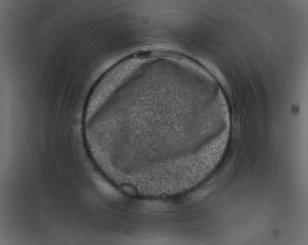 X0000101110389200807171941