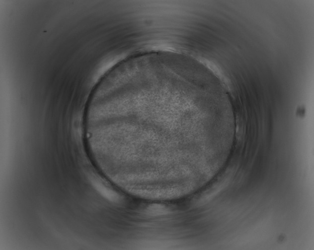 X0000101110390200807171941