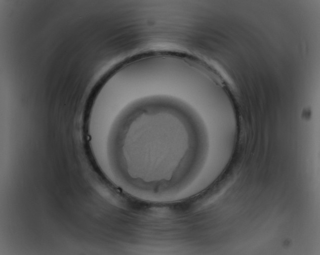 X0000101110391200807171941