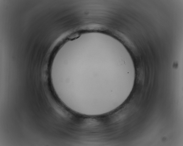 X0000101110392200807171941