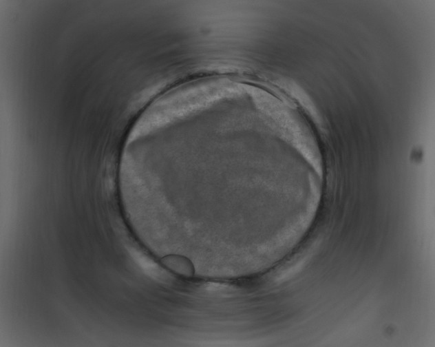 X0000101110393200807171941