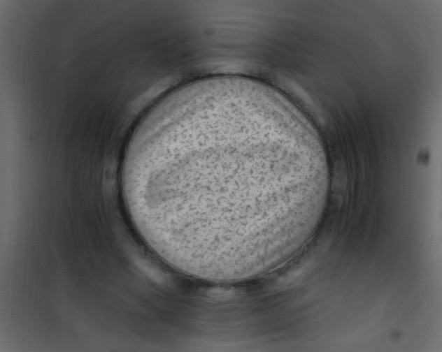 X0000101110394200807171941