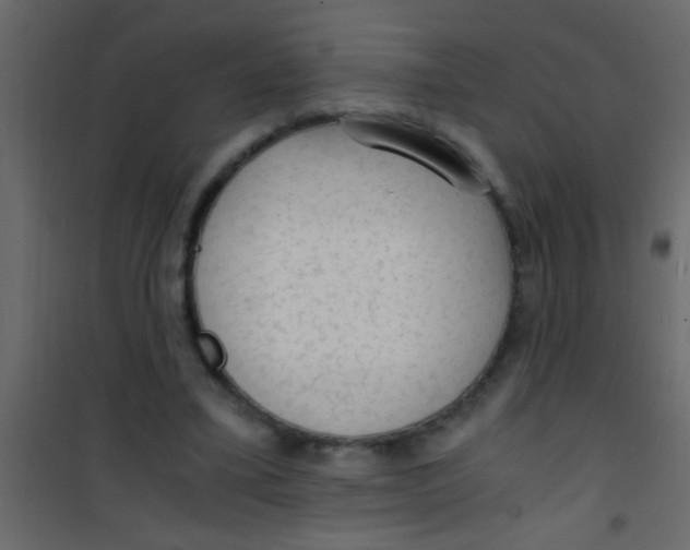 X0000101110395200807171941