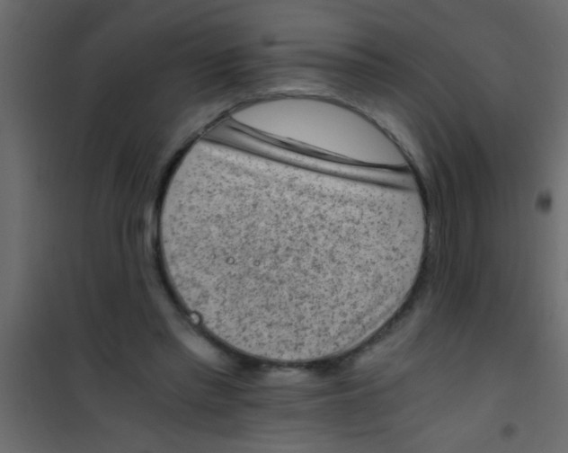 X0000101110397200807171941