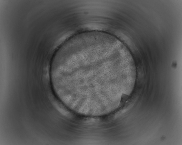 X0000101110398200807171941