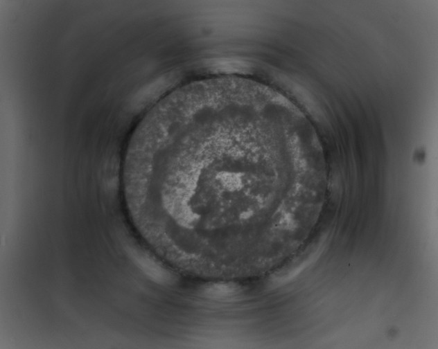 X0000101110402200807171941