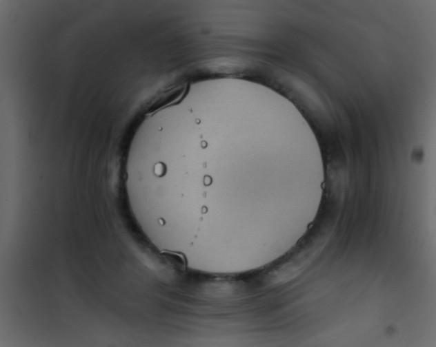 X0000101110404200807171941