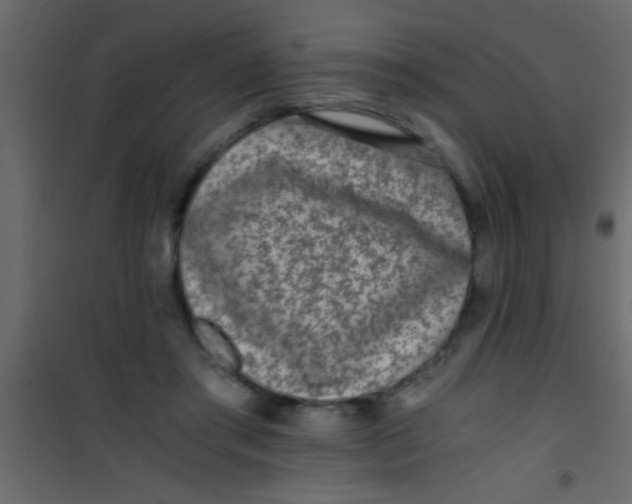 X0000101110405200807171941