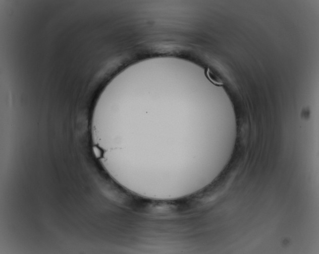 X0000101110407200807171941