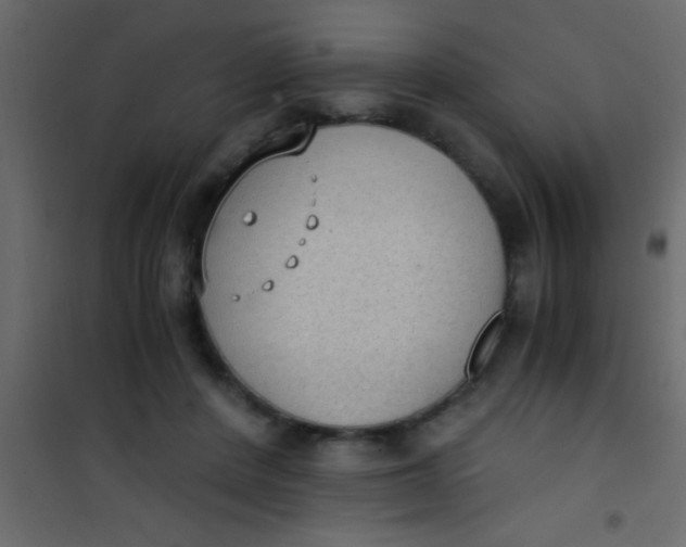 X0000101110408200807171941