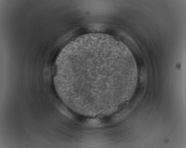 X0000101110409200807171941