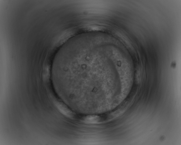 X0000101110410200807171941