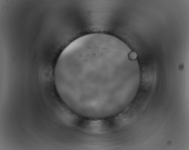X0000101110411200807171941