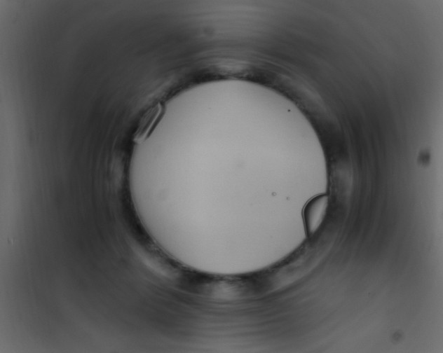 X0000101110412200807171941