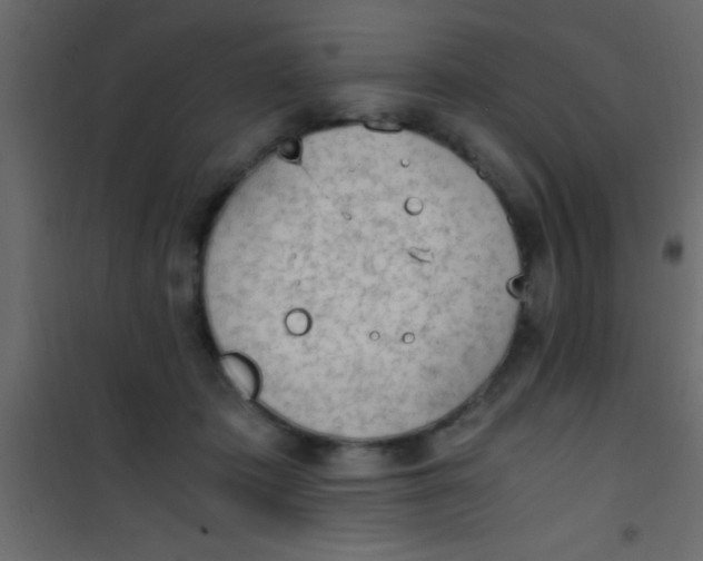 X0000101110413200807171941