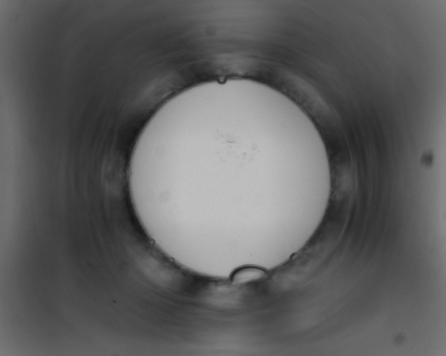 X0000101110414200807171941
