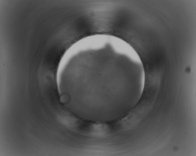 X0000101110415200807171941