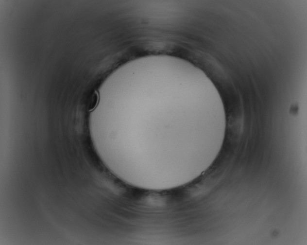 X0000101110416200807171941