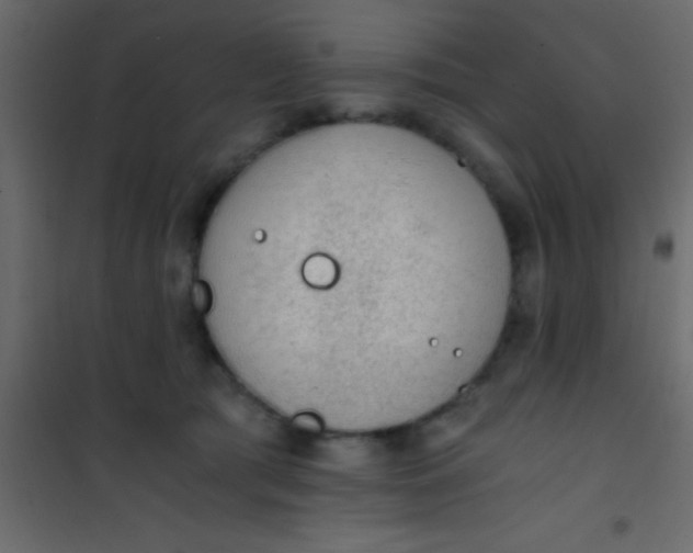 X0000101110417200807171941