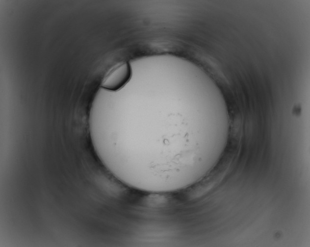 X0000101110418200807171941