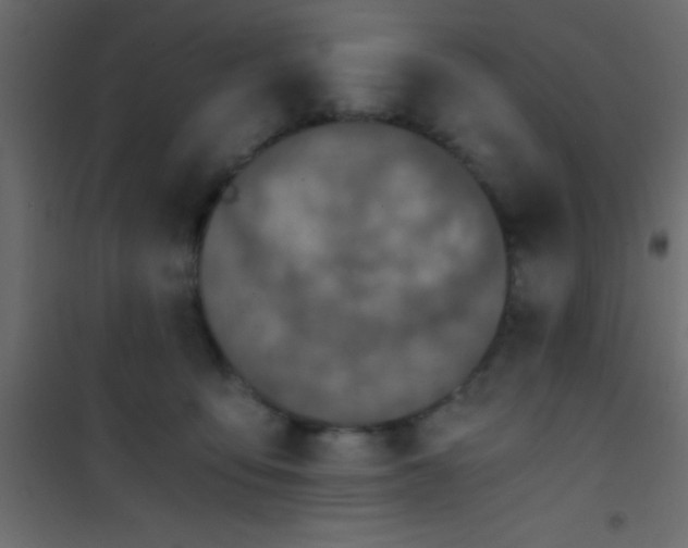 X0000101110419200807171941