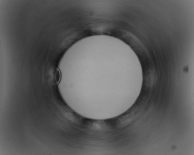 X0000101110420200807171941
