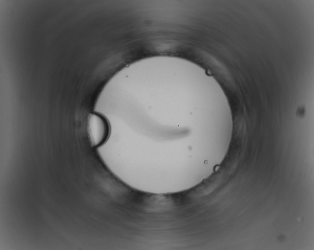 X0000101110421200807171941