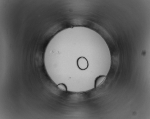 X0000101110422200807171941