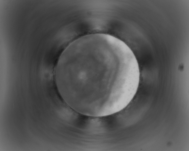 X0000101110423200807171941