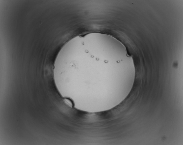 X0000101110425200807171941