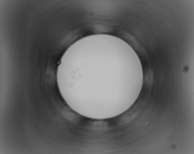 X0000101110426200807171941