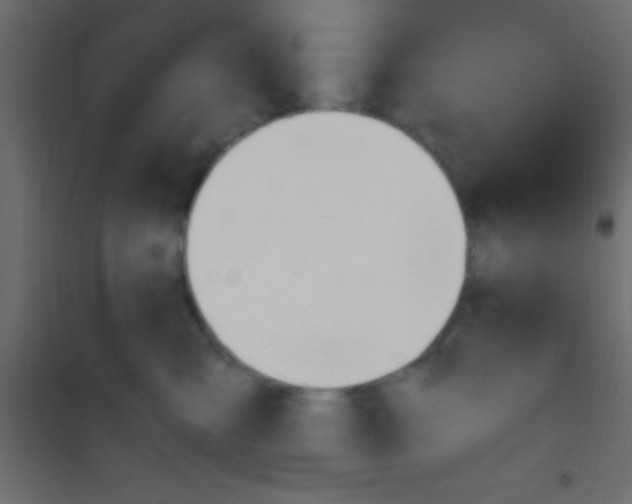 X0000101110427200807171941