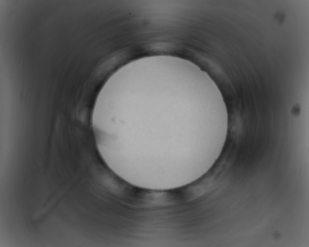 X0000101110428200807171941