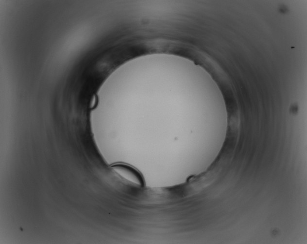 X0000101110429200807171941